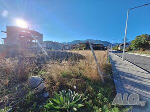 image_6