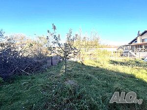 image_4