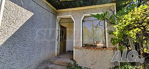 image_11