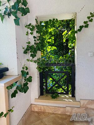 image_6