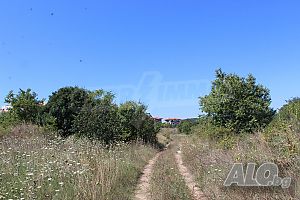 image_5