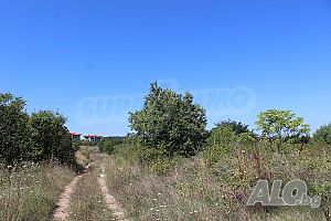 image_6