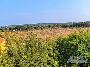 image_11