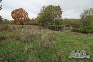 image_6