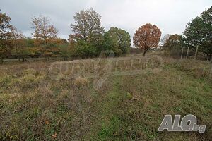 image_8