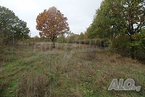 image_11