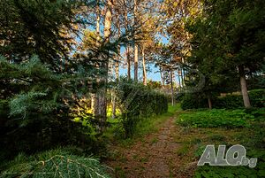 image_9