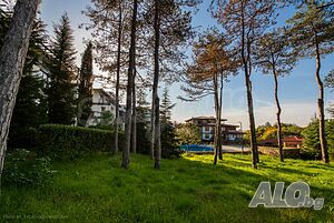 image_10