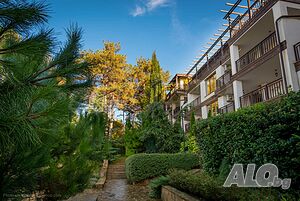 image_11