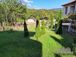image_7