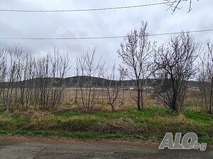 image_8