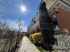 image_11