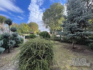 image_14