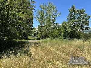 image_6