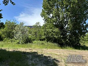 image_8