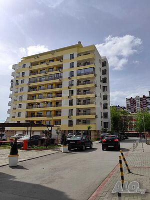 image_8