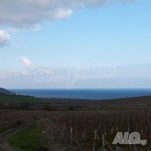 image_3