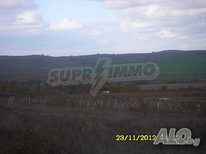 image_5
