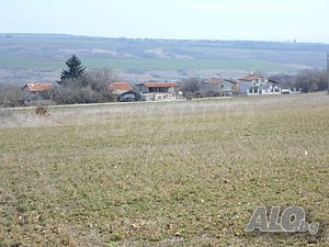 image_12