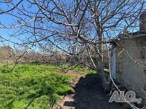 image_15