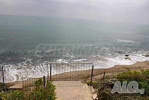 image_11