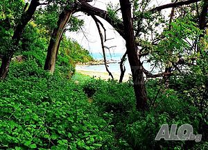 image_5
