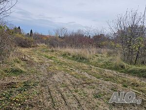 image_2
