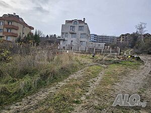 image_8