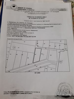 image_2