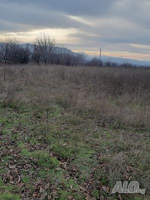 image_10