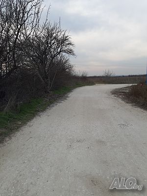 image_5
