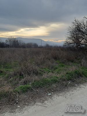 image_7