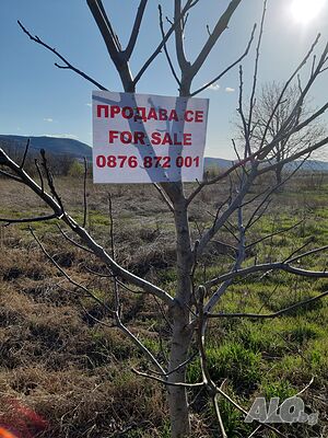 image_8