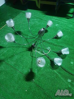 image_6