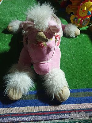 image_5
