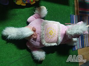 image_8