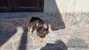 image_3