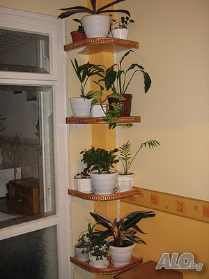image_12