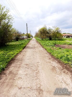 image_6