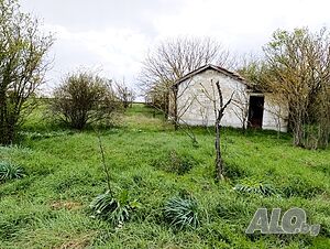 image_8