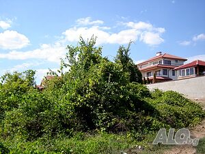 image_5