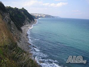 image_10