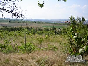 Парцел в землището на с. Константиново, м-ст Чатал чешма