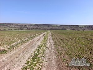 Земеделски имот 3785 кв.м, местност „Под село“, с. Равна гора