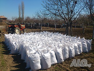 image_8