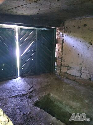 image_5