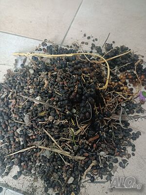 image_7