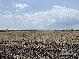 Продажба на земеделска земя с площ 6 389 кв.м, гр. Поморие, Номер на имота: 57491.16.78