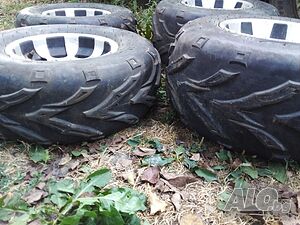 image_6