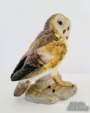 image_5